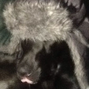 Meet your Posher, Maya